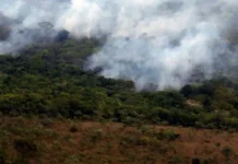 Observatório registra menor nível de emissões de gases do efeito estufa desde 2003