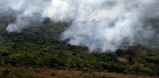 Observatório registra menor nível de emissões de gases do efeito estufa desde 2003