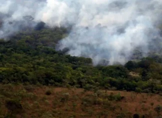 Observatório registra menor nível de emissões de gases do efeito estufa desde 2003