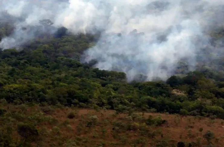 Observatório registra menor nível de emissões de gases do efeito estufa desde 2003