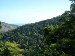 Governo anuncia R$ 500 bi para ampliar financiamento sustentável no Brasil