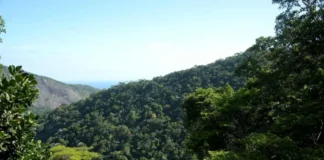 Governo anuncia R$ 500 bi para ampliar financiamento sustentável no Brasil