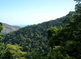 Governo anuncia R$ 500 bi para ampliar financiamento sustentável no Brasil