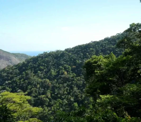 Governo anuncia R$ 500 bi para ampliar financiamento sustentável no Brasil
