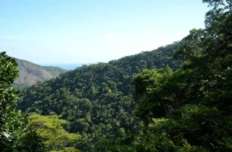 Governo anuncia R$ 500 bi para ampliar financiamento sustentável no Brasil