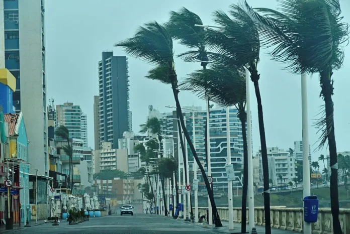 Chuva-em-Salvador-vento-atinge-59-kmh-e-assusta-mo0136817700202511121014-ScaleDownProportional