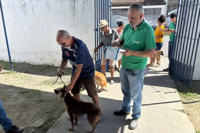 caes-sendo-vacinados-1000x666-1
