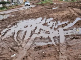Moradores reclamam de lamaçal em avenida de Feira de Santana: “Está intransitável”