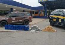 PRF apreende 255 kg de drogas e cigarros eletrônicos em carreta na BR-116