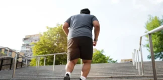 Obesidade no Brasil: quase 3 em cada 10 adultos já têm a doença