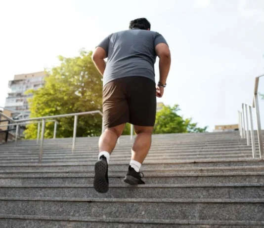 Obesidade no Brasil: quase 3 em cada 10 adultos já têm a doença